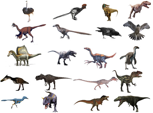کشف یکی از بزرگ ترین گونه های ناشناخته دایناسور توسط دانشمندان